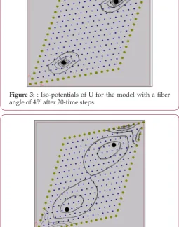 Figure 3: : Iso-potentials of U for the model with a fiber angle of 45º after 20-time steps.