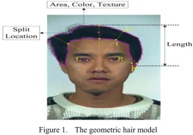 Figure 1.  The geometric hair model  