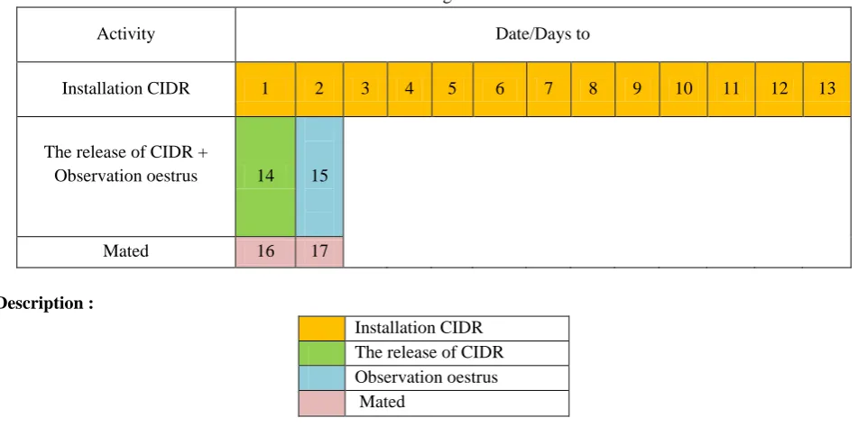 Table 1. Stages Field Research 