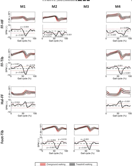 Fig. 4. Comparison between treadmill and overground walking conditions. Sagittal kinematics and relative statistical parametric mapping of the t-value from the 1D pairedt-test for: calcaneus/hindfoot and forefoot (FF-HF), tibia/ﬁbula and forefoot (FF-Tib),