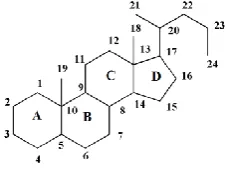 Figure 1. Basic cholane molecule (C24) with standard atomic numbering scheme 