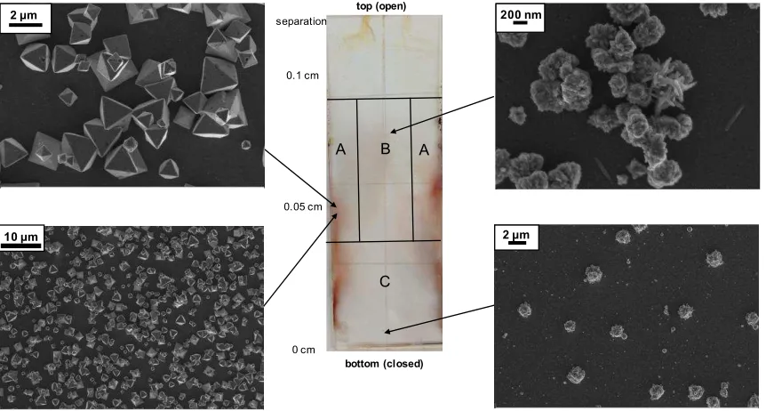 Figure 2.  Images from piranha cleaned glass slide and CuOptical image of full 2.5 x 7.5 cm slide showing orange and black coverage on the slide; crystals from all areas were confirmed to be Cu2O crystallization