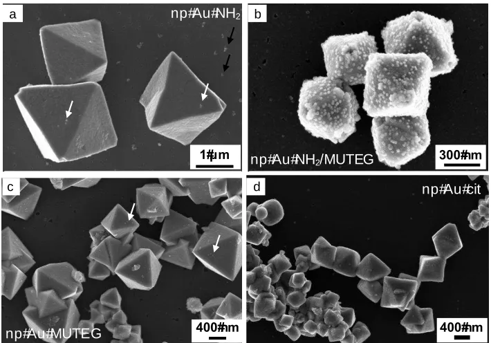 Figure 3. significant interaction is observed; few particles appear on the surface of the crystals, as indicated by the white arrows