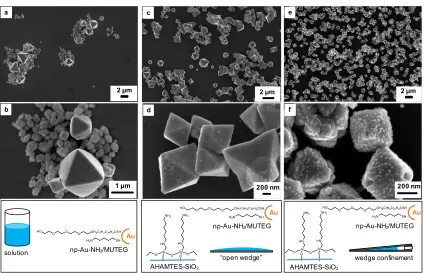Figure 4. SEM images at low (a,c,e) and high (b,d,f) magnification in a,b) bulk solution crystallization with both physical and chemical control