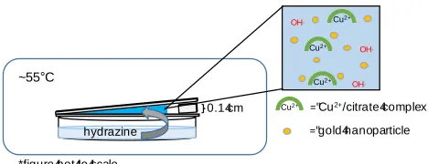 Figure 1. Side view of crystallization wedge. The crystallization solution contains copper (II) ions complexed by citrate ions, hydroxide ions, and gold nanoparticles (sulfate and sodium ions not shown)