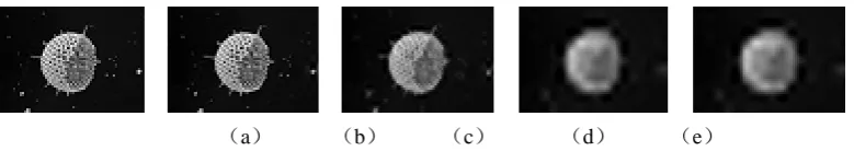 Figure 4. Reconstructed images of Satellite image at different compression ratios, where (a) is original image, (b),(c),(d),(e)are reconstructed images at compression ratio 2,4,8 and 16, respectively