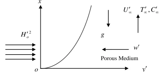 Figure 1: The physical model and coordinate system of the problem 