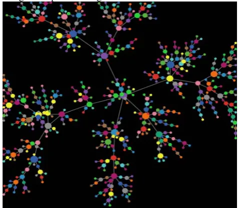 Fig 2. Network grows over time   