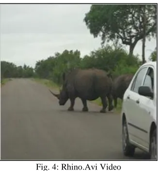 Fig. 4: Rhino.Avi Video 