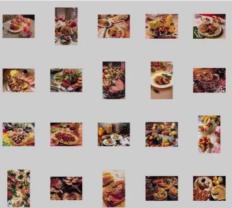 Figure 6: Images Retrieved for Query Image after Feedback 