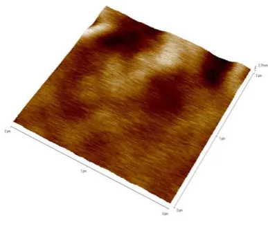 Figure 2.  Topographic image of 9 using atomic force microscopy 