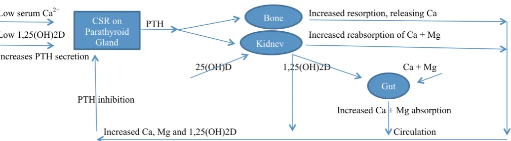 Figure 1 and the gut to raise serum Ca