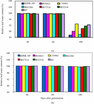 Figure 5. Relative leaf water content during the daytime (a) and nighttime (b) in seven rice cultivars subjected to drought stress