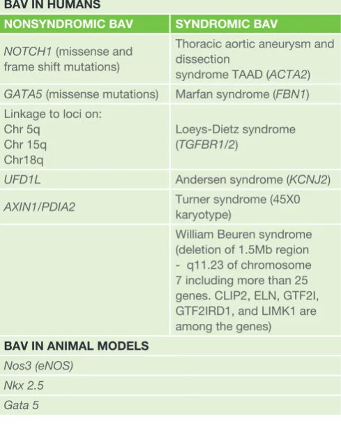 Table 1: Genes involved in BAV in human and animal models