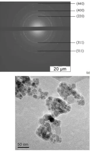 Figure 4. Volume distribution of crystallites by Fe3O4 size in Fe3O4/PDPhAC hybrid nanomaterial