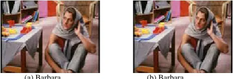 Figure 2 Barbara (a) Cover image and (b) Stego image 