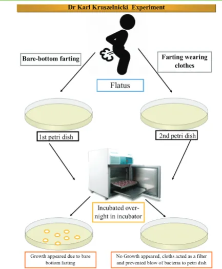 Figure 4. Dr karl’s experiment designed for to check whether bare-bottom farting transmits microbes or not 