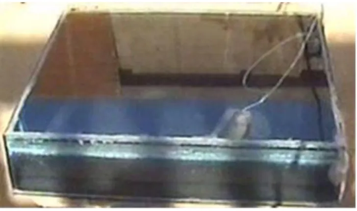 Fig. 1: Simple single slope solar distiller photograph  