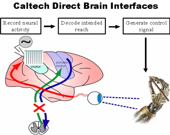 Figure 1.1: The Caltech direct brain interface. Courtesy of Dr. Changlin Pang.