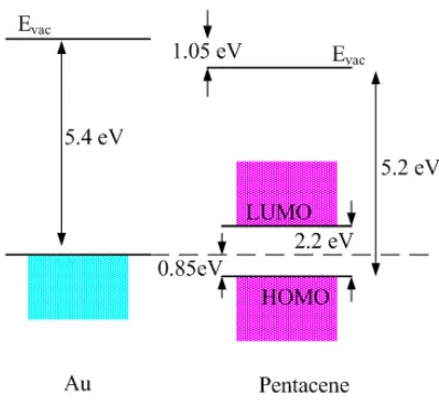 Figure 3.5: The band diagram of the pentacene-Au interface [3].