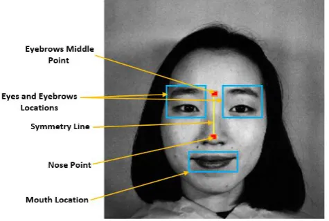 Fig. 2: Face Pattern  