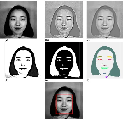 Fig. 3:(g)  Preprocessing and face region detection steps' results  