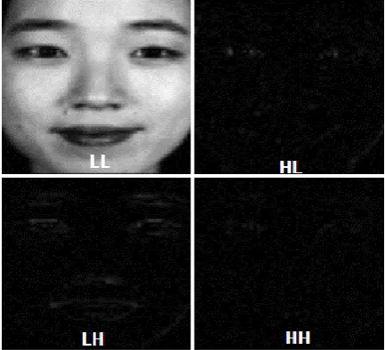 Fig. 4:(a)  DWT bands; (a) one- level wavelet decomposition, (b) two- level wavelet decomposition  