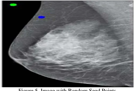 Figure 5. Image with Random Seed Points  