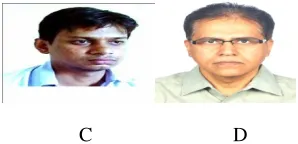 Fig.4.Test  images  from dataset after illumination. 