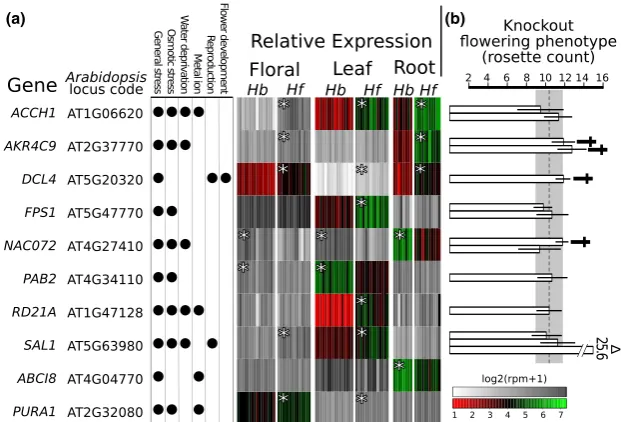Fig. 4 Potentially pleiotropic loci that may inﬂuence ecological adaptation and ﬂowering phenology differences betweenphenotypic effect inmultiple individuals (vertical bars) in three tissues forthe wild type (dotted line and standard deviation in grey sha