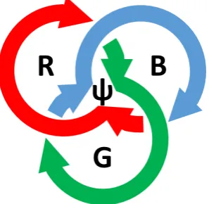 Figure 1. RGB-tricoloured trefoil knot representing the postulated macrocycle topology of triplewise information processing loops