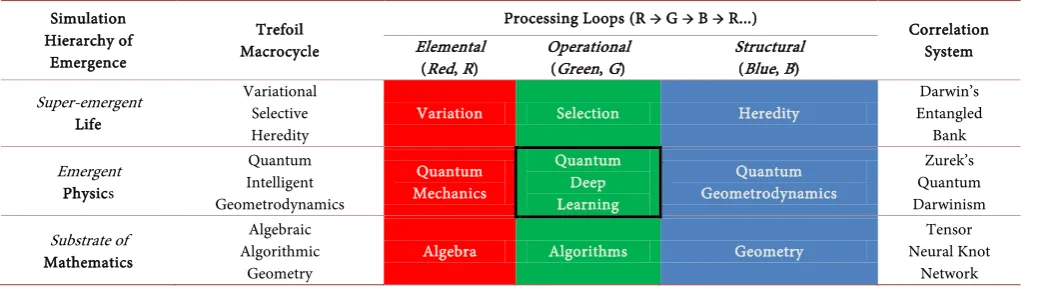 Table 1. The simulation hierarchy of emergence is in rows and the RGB-tricolouration of the information processing loops is in columns