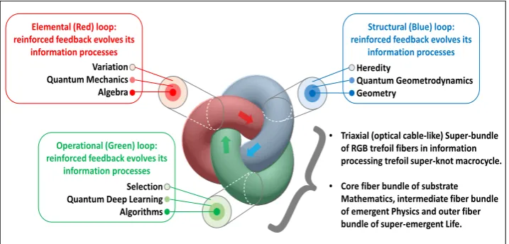 Figure 2. Up-scaling pattern (α): Set of three parallel, laterally unbounded, sheets each compris-ing interlinked RGB fiber trefoils with innumerable “crosstalk nodes”