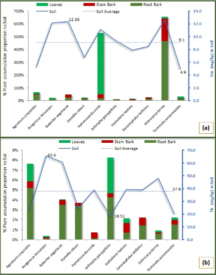 Fig. 10:  Shows the Concentrations of (a) Samarium, and (b) Thorium in soil and percentage accumulation in tissue samples of anti-diabetes medicinal plants