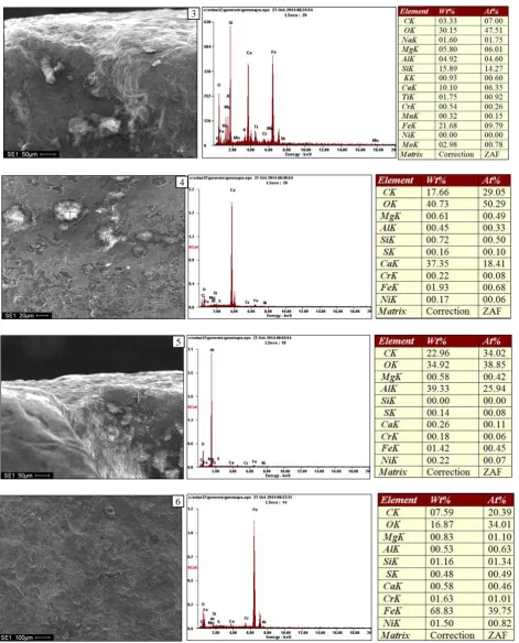 Fig. 13.  SEM-EDX analysis at the crack region 
