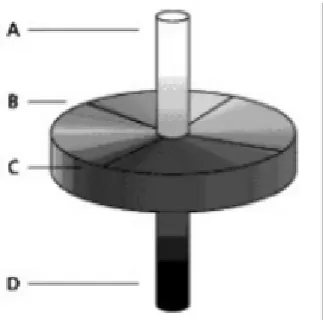 Fig. 4 The L*a*b color model diagram. A and D denote the lightness components, B and C describe the information of hue [2].The relationship between I1_I2_I3 and RGB can be described as 