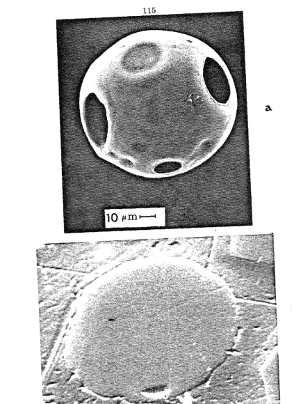 Figure 2: SEM micrographs of: (a) a cenospheric particle 