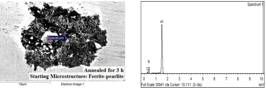 FIG. 5  SEM micrograph showing an irregular graphite nodule formed after 3 h from a ferrite-pearlite starting microstructure and accompanying EDX spectrum taken from the central foreign particle indicating AlN (Steel B)