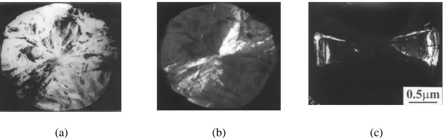FIG. 7 (a) Bright-field image and (b) dark-field image of ‘touching’ opposite “cone” sections of a small regular spheroidal graphite particle, indicating near-diametric sectioning