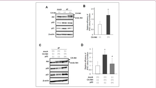 Figure 3:   Effects of constitutively active Akt overexpression on iPSC reprogramming.a) Protein levels of endogenous and constitutively active (CA) Akt, p53, and p21 after reprogramming induction
