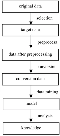 Figure 1.  Data mining process. 