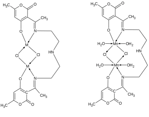 Figure 5. Proposed structure of metal(II) complexes. 
