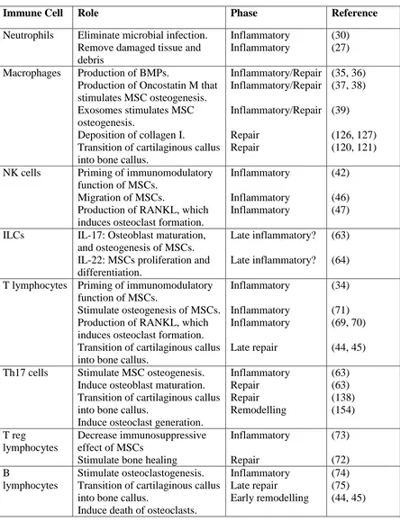 Table 1: The role of immune cells during the bone healing 