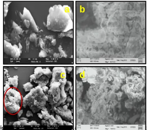 Figure 22. TG pattern:  pristine Mt, PPN- Mt composites, organoclay PF68 - Mt, PF68-PPN- Mt composites, Pure PPN, Pure PF68 