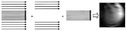 Figure 1.  A sample variable-density k-space trajectory made up of a regularly under-sampled outer portion and a fully sampled inner portion