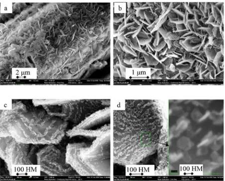 Figure 6. Microstructure of the surface of Ni-Co-Mn-Al catalysts ((a)-(d) is micro photo under different magnifica- tion)
