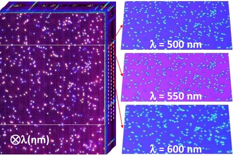 Figure 2. 3D representation of a hyperspectral dark field image of 100 nm silver nanospheres 