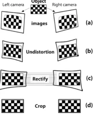 Figure 3.  The   process of stereo rectification 