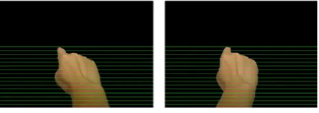 Figure 6.  Hand images before calibration and rectification 