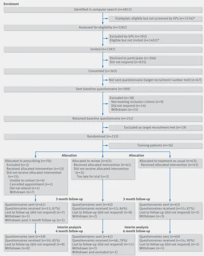 Fig 4 | Flow diagram of a randomised pilot trial of pharmacist led management of chronic pain in primary care (reproduced from Bruhn et al69)